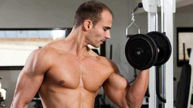 dumbbell or barbell curls