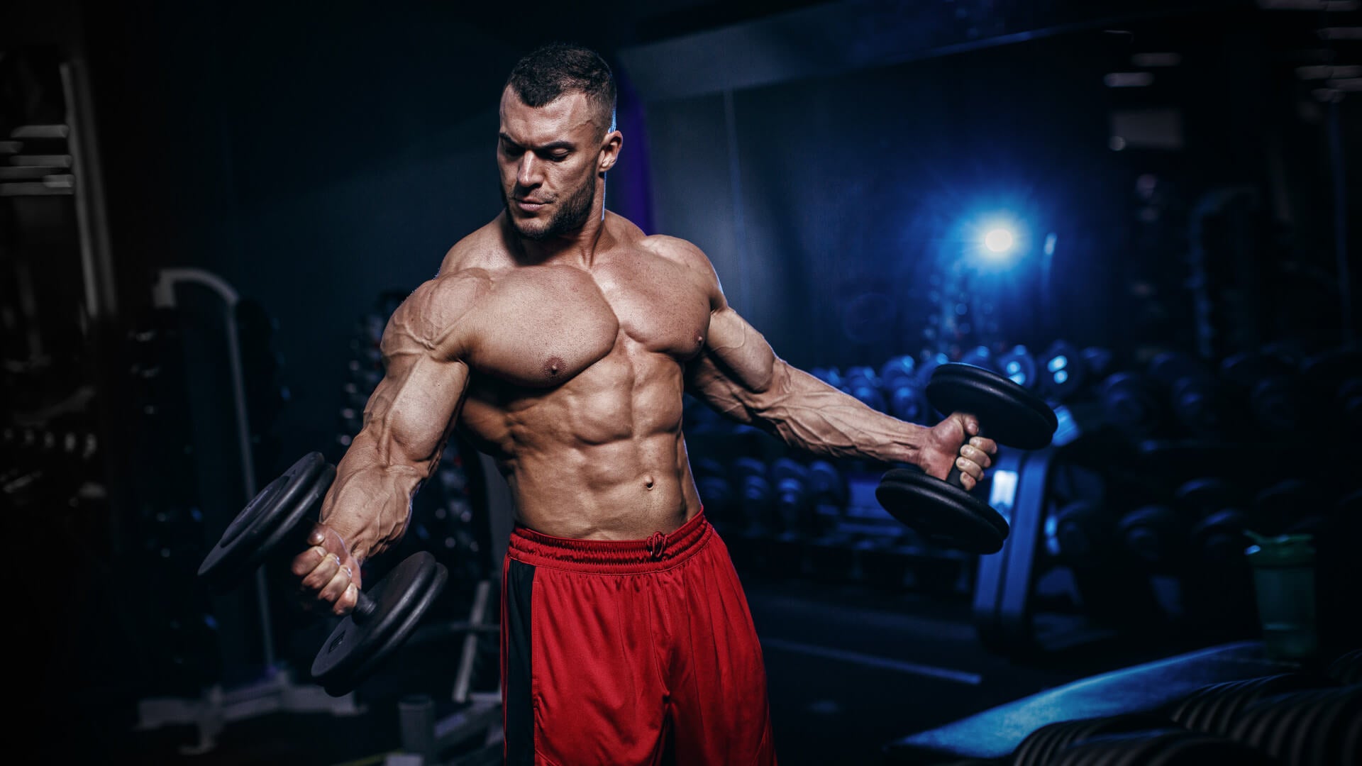 Bodybuilding divisions