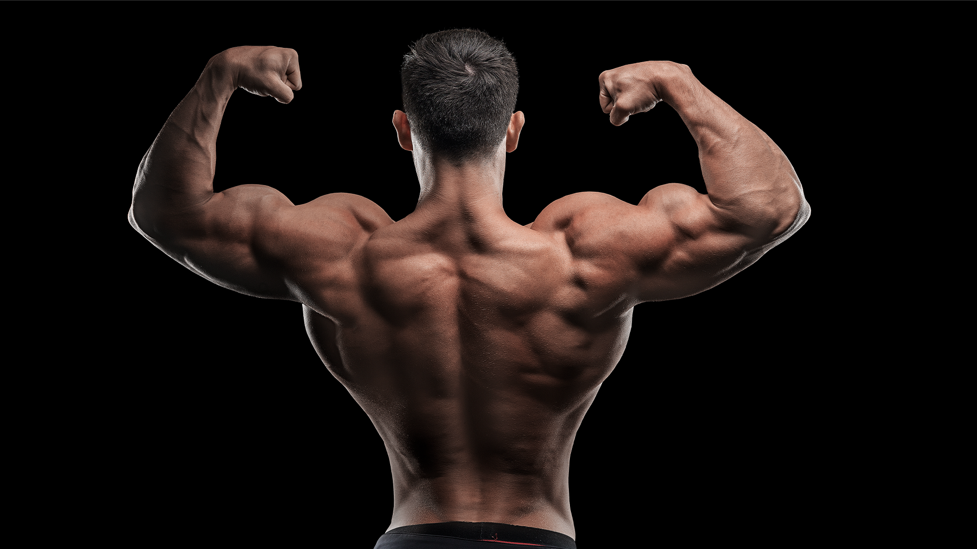 Bulking vs. Cutting: What is the Difference? (And Which to Do?) – CrazyBulk  USA