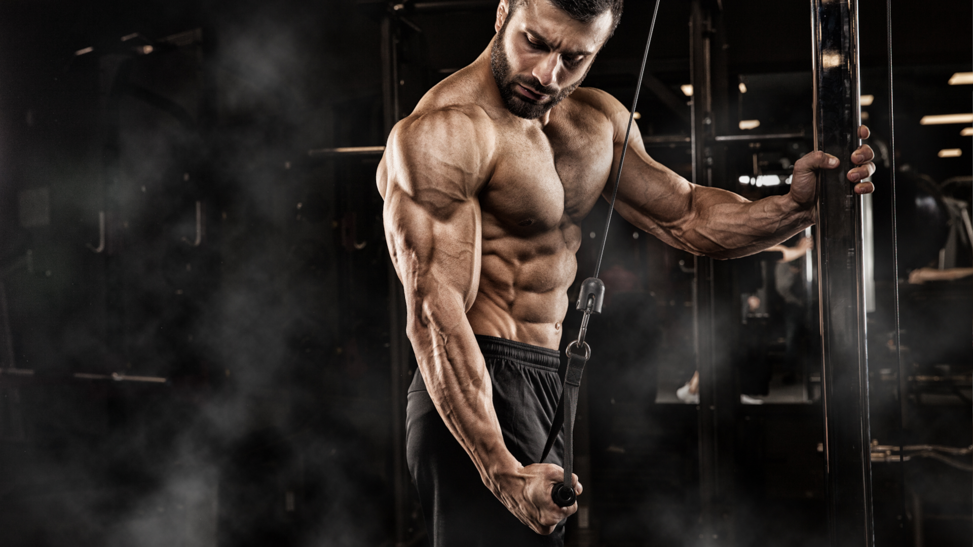 Here Are The Best Triceps Workouts That Train all Three Triceps Heads 