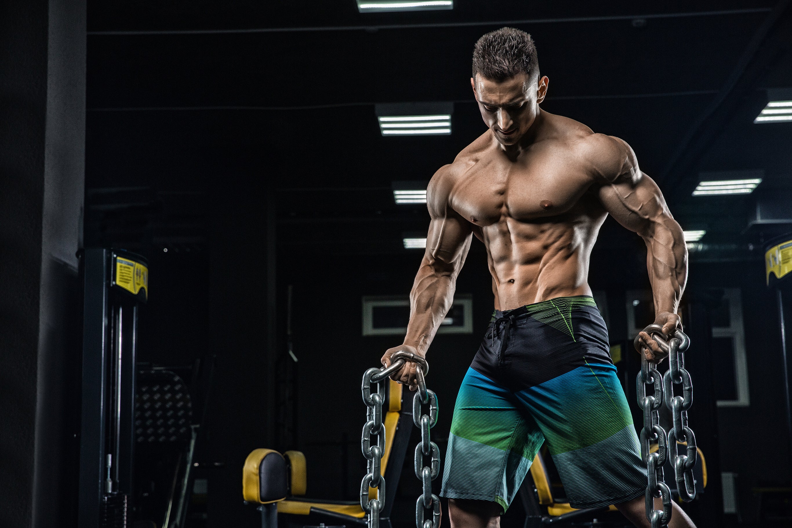 Crazy bulk