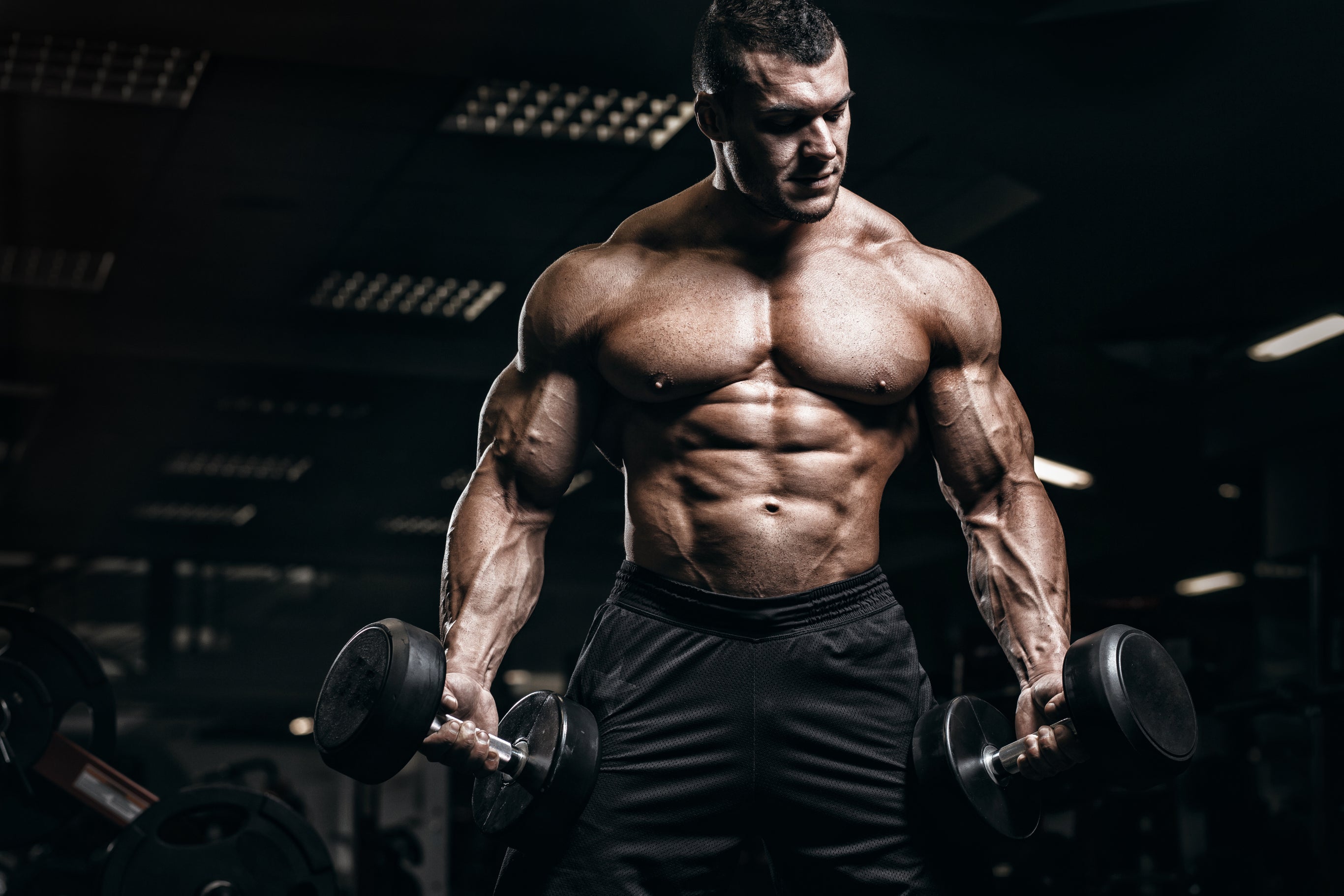 Crazy bulk