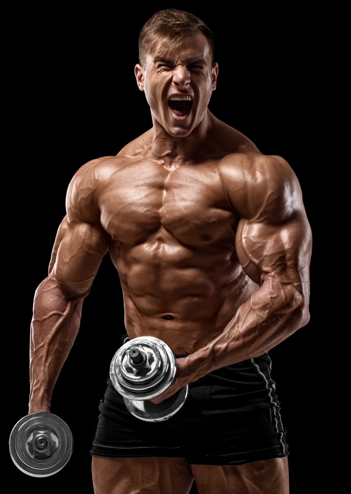 Crazy bulk