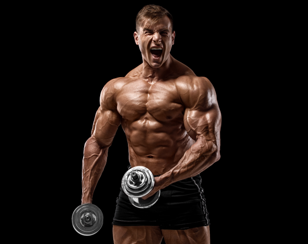 Crazy bulk