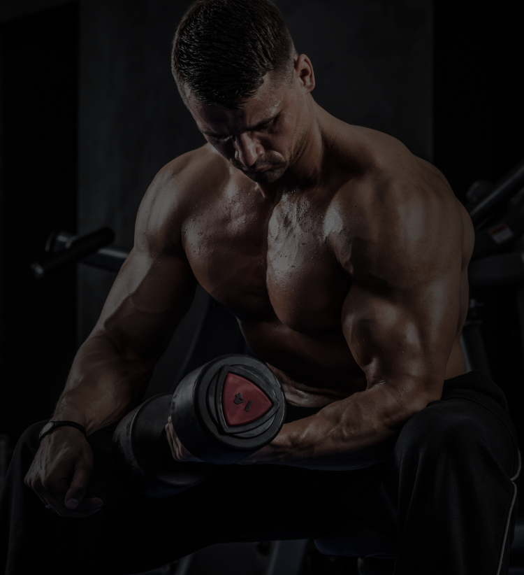 Crazy bulk
