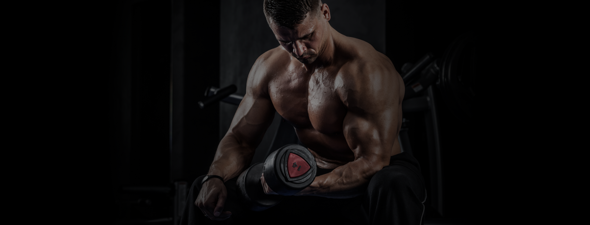 Crazy bulk