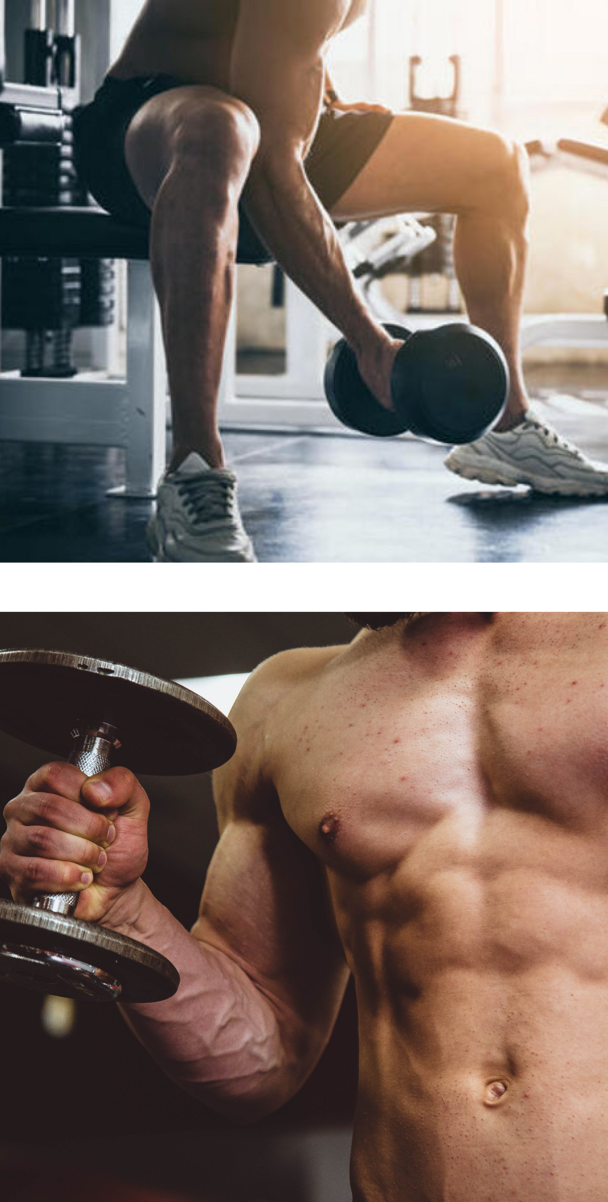 Crazy bulk