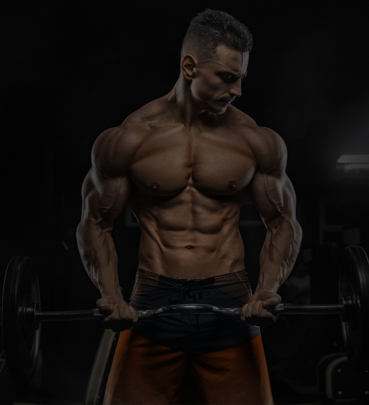 Crazy bulk