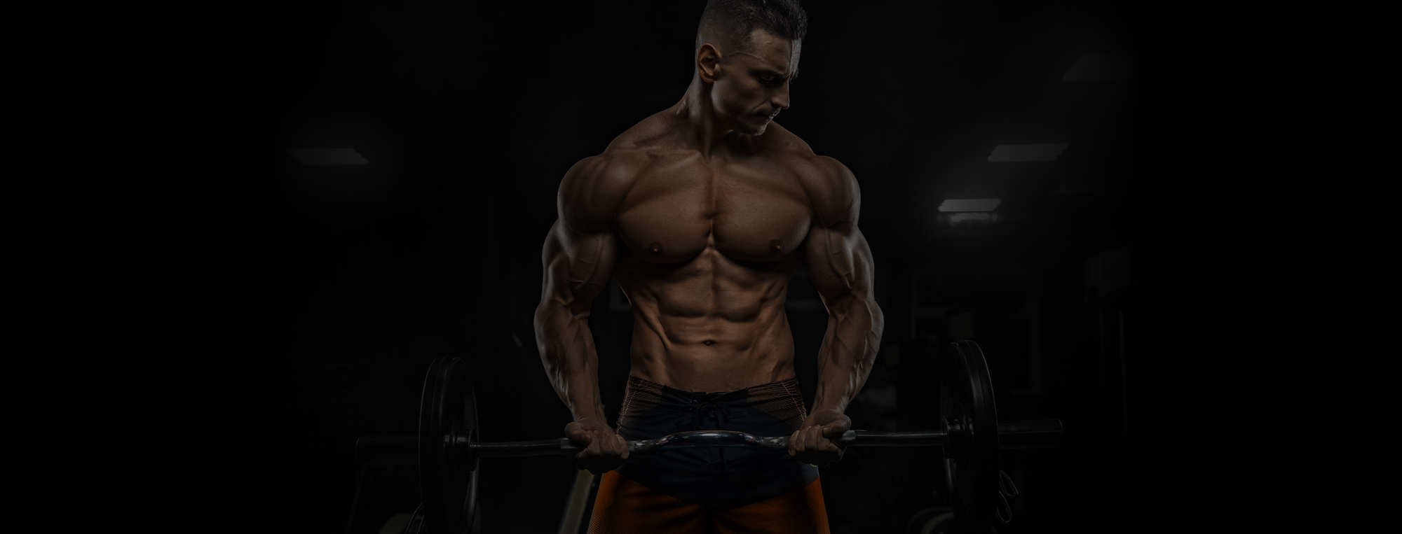 Crazy bulk