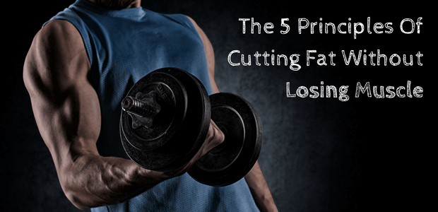 Cutting Fat Without Losing Muscle