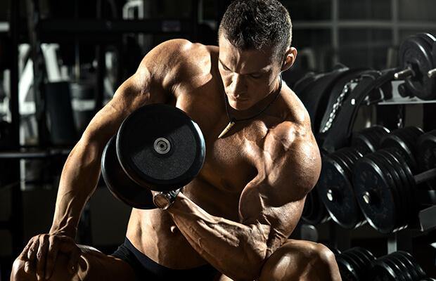 Muscle Building Tips for Hardgainers