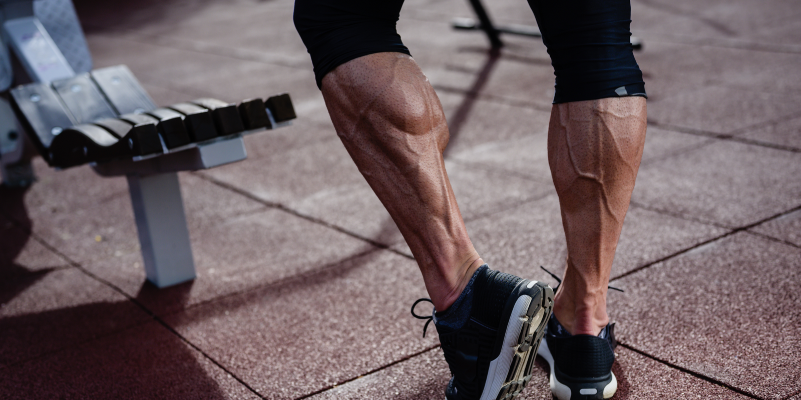 The 8 Best Calf Muscle Exercises For Your Training Routine