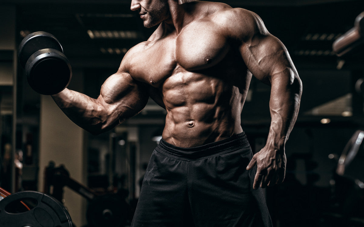 Master Your Bodybuilding Poses A Guide to Perfect Form
