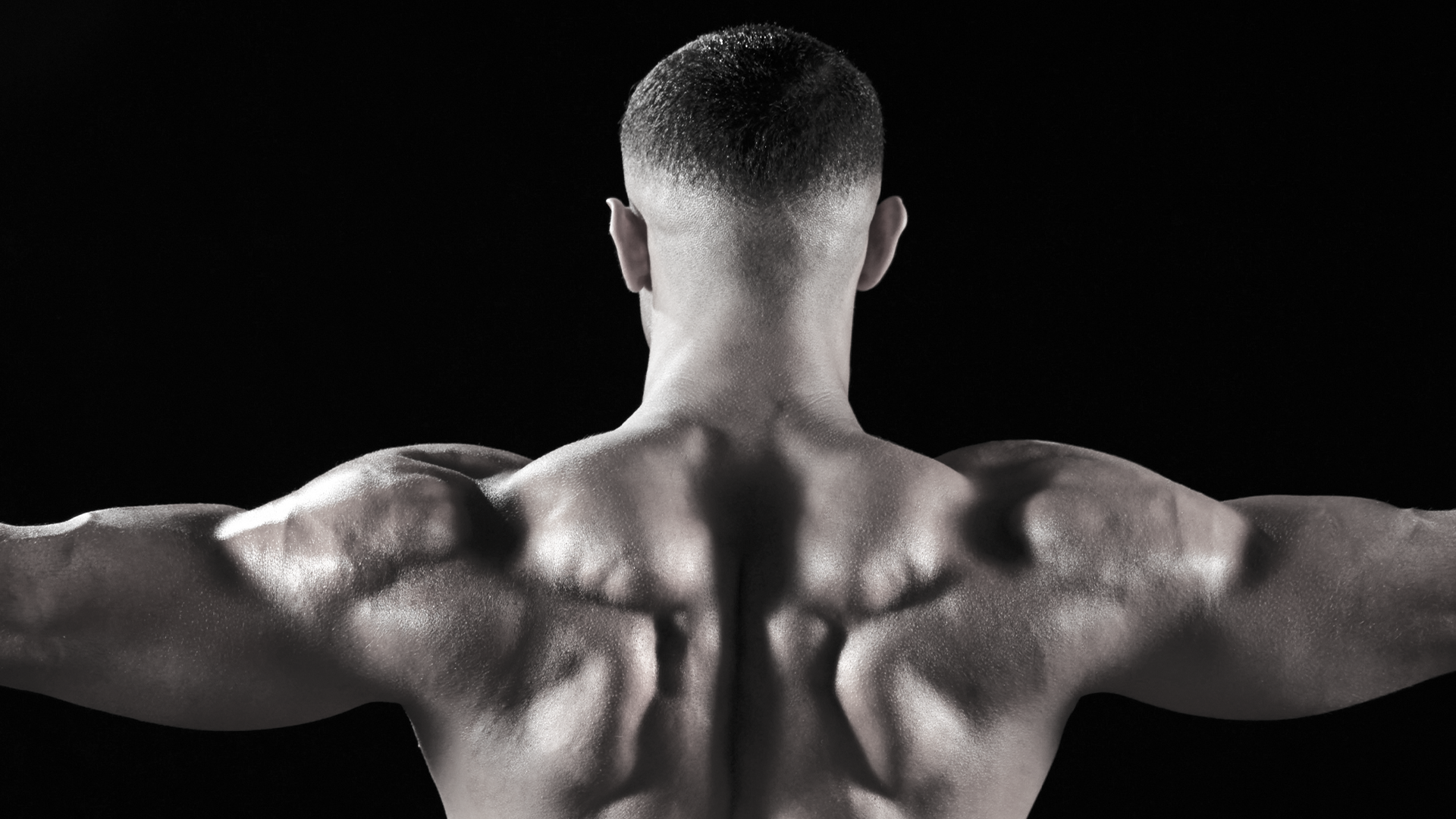 The ultimate guide to building bigger traps