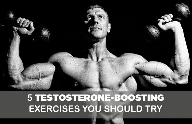 5 Testosterone-Boosting Exercises You Should Try (Get Gains)