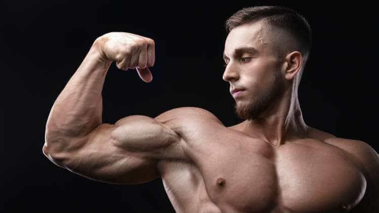 Gain an Inch on Your Biceps in One Month