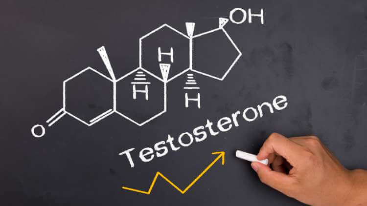 Low Testosterone in Men: Fix Your Low T-levels in Less than a Month