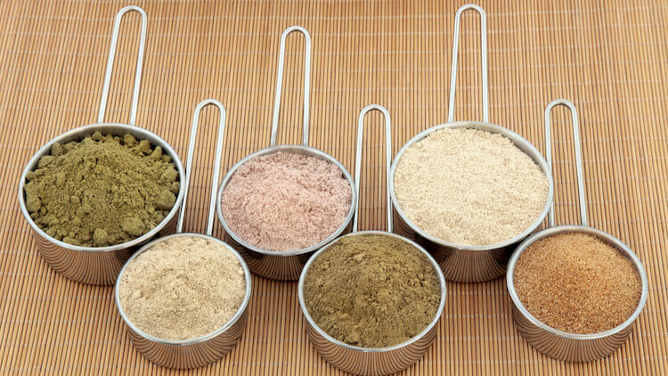 Best Plant Based Protein Powders