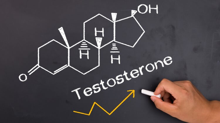 Best Ways to Increase Testosterone Levels Naturally