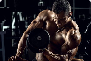 Crazy bulk